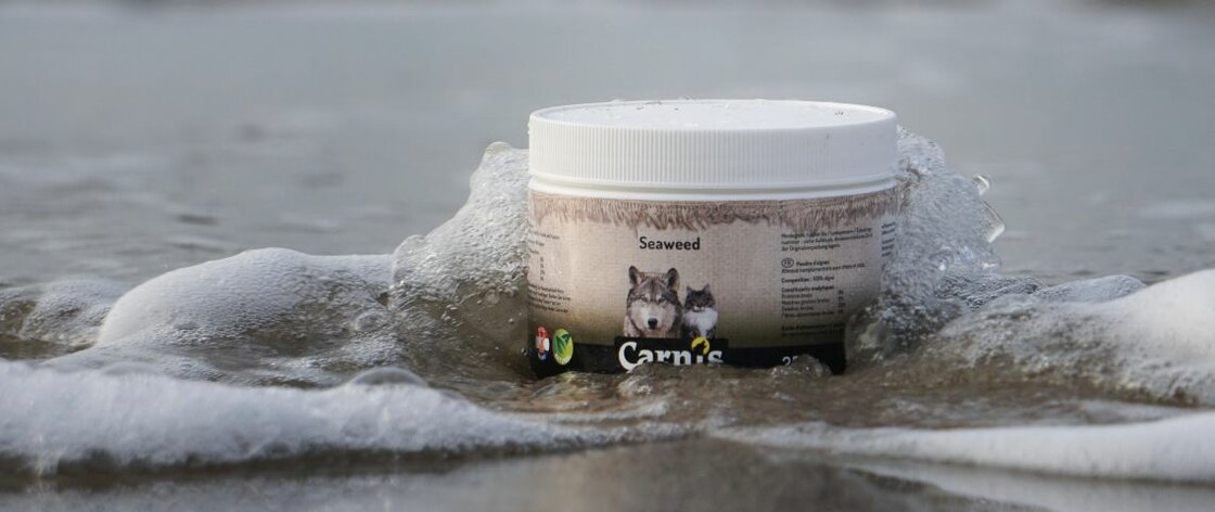 Carnis Supplementen
