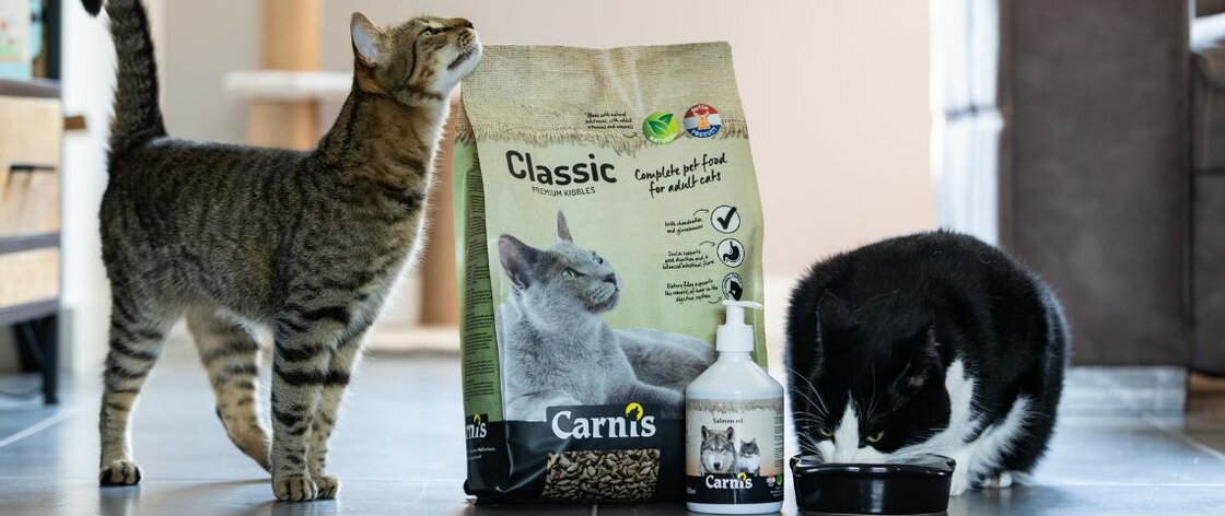 Carnis Kattenvoer