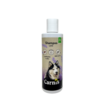 Shampoo Care