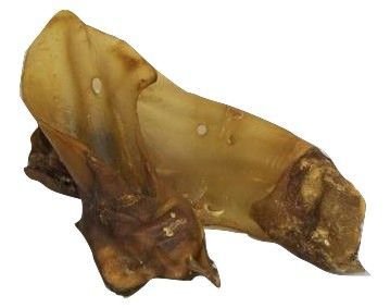 Carnis Buffeloor met schelp, kauwsnack