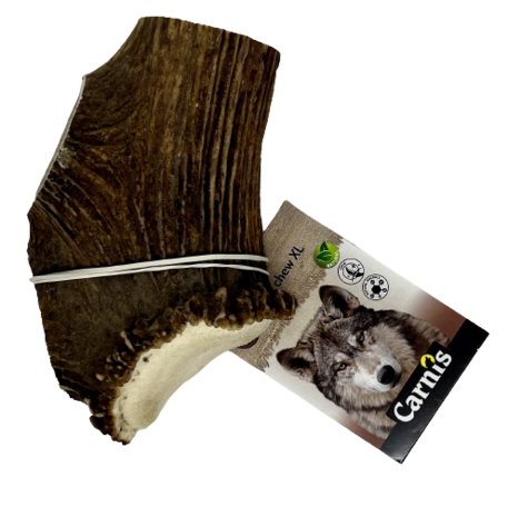 Split Chew XL 2